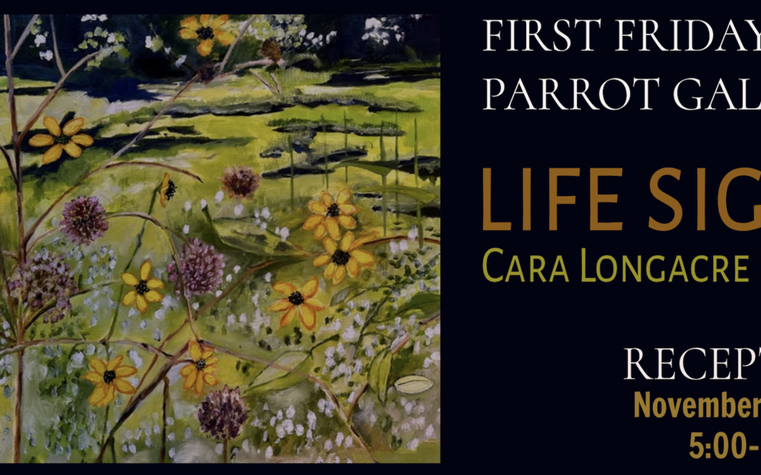 Screenshot 2025-11-05 at 11.34.46 AM